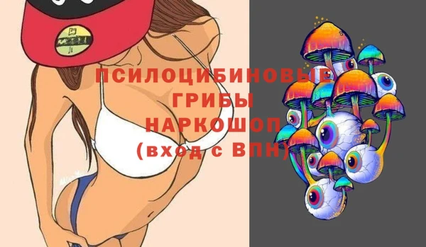 mdpv Богородицк